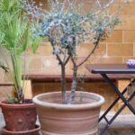 casa damarete agrigento esterno 1